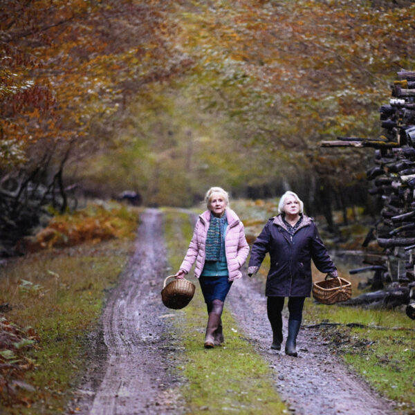 Quand Vient L'Automne