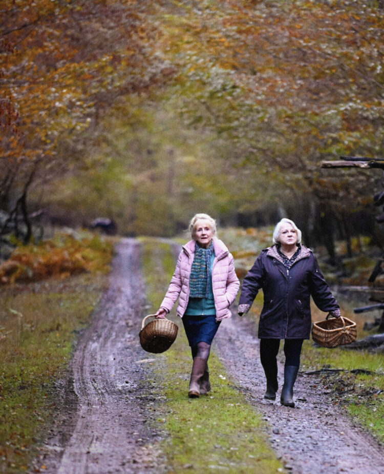 Quand Vient L'Automne